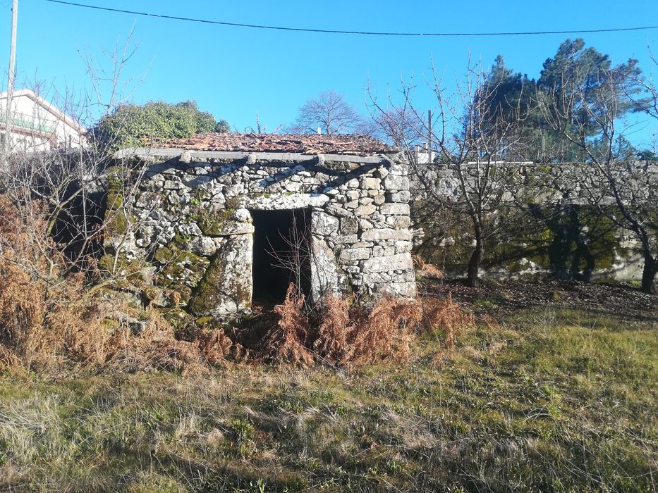 Quinta com possibilidade de construção