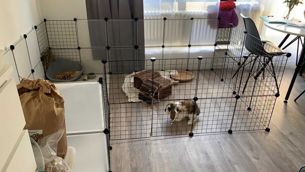 Wybieg NOWA Klatka Kojec dla KRÓLIKA Świnki Chomika PSA Modułowa DUŻA