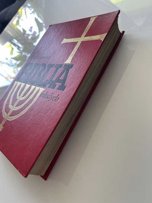 Ilustrowana Biblia młodych