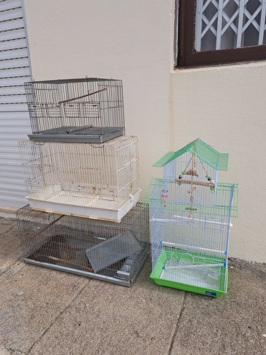 Várias gaiolas para pássaros