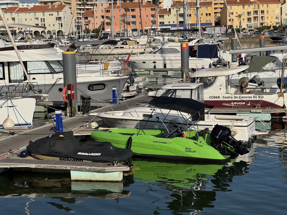 Seastorm 17 HDPE + Tohatsu 60 CV