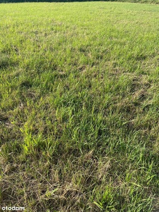 Jarosławiec Nowe Działki nad morzem od 300 do 5000m2