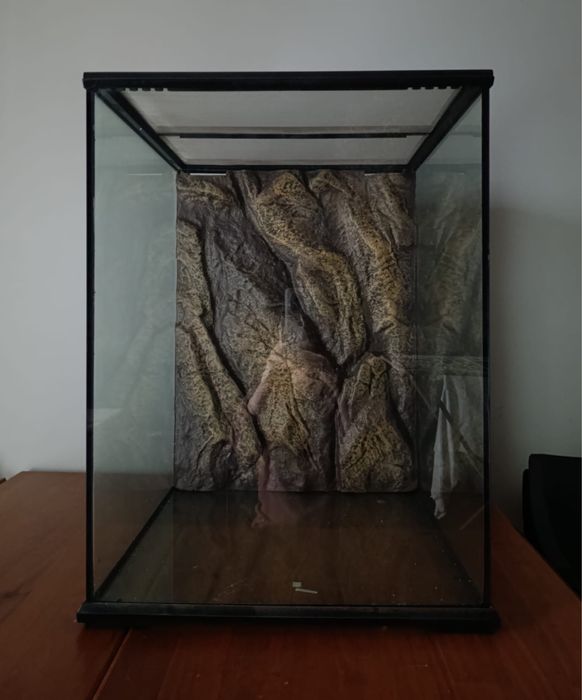 Terrario para repteis