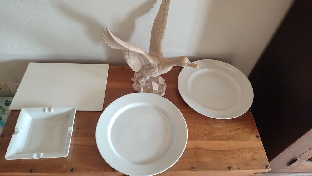 Peças para pintar porcelana e marfinite novas