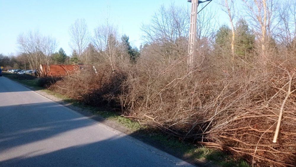 Wycinka drzew czyszczenie działek koszenie