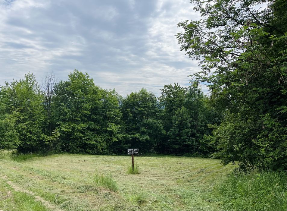 DZIAŁKA ROLNA - Bieszczady - Widok 2