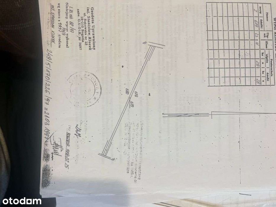 Las debowy Bogoria - swietokrzyskie