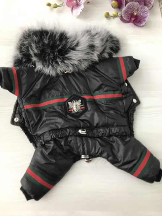 Одежда для собак