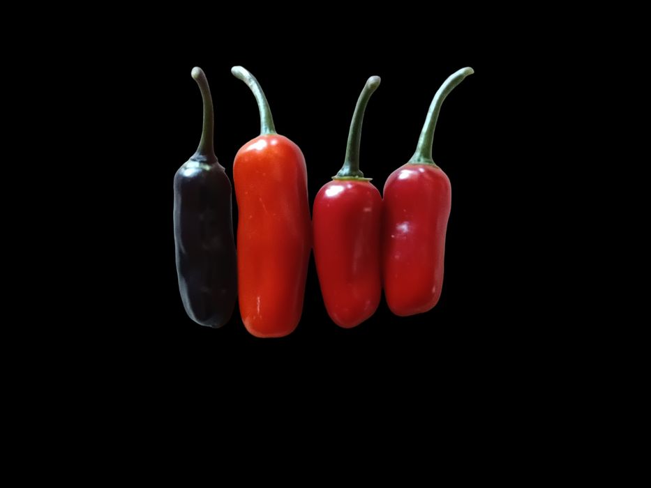 Vendo sementes de malaguetas raras muitas variedades