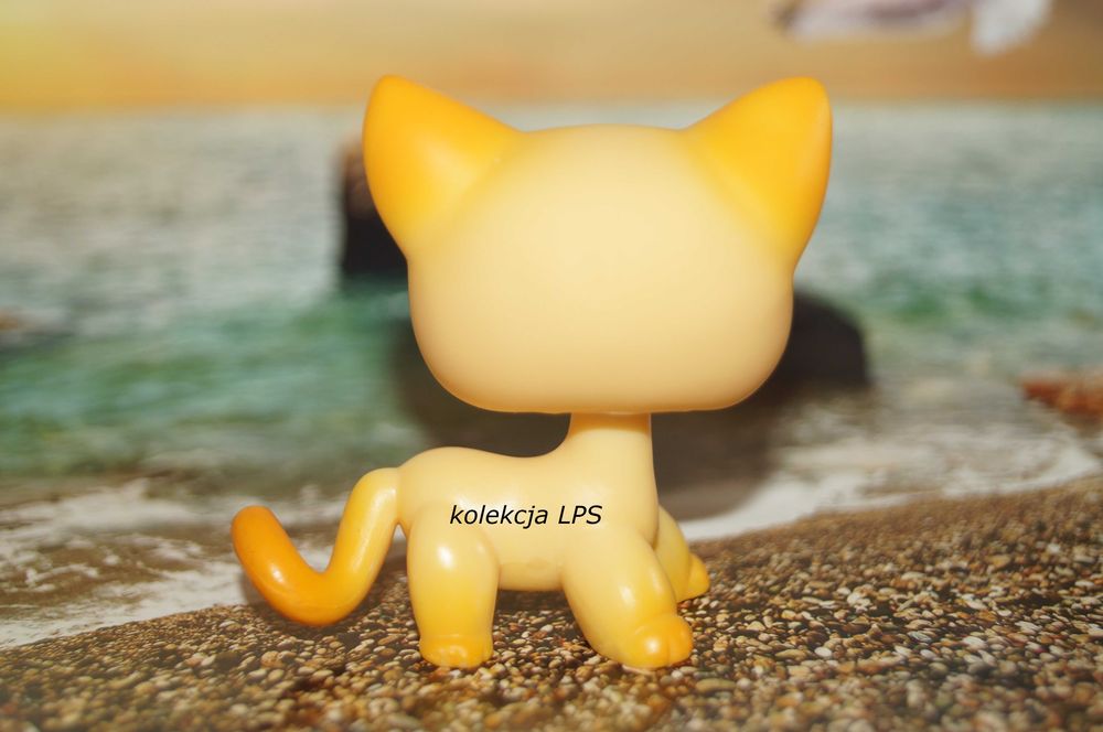 LPS Littlest Pet Shop shorthair #339 Brooklyn oryginalny pop oryginał ...
