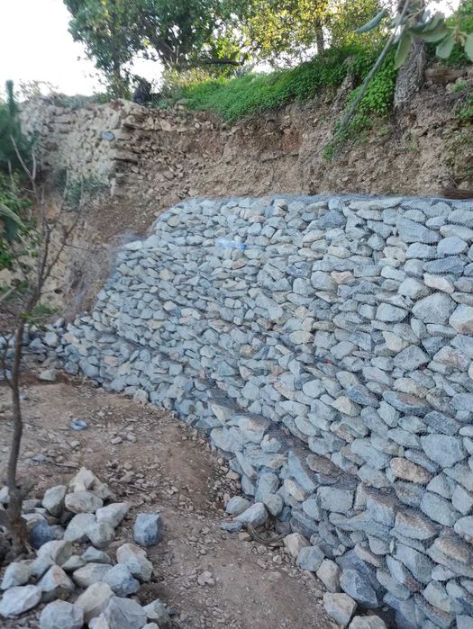 Serviços de Jardinagem e Manutenção