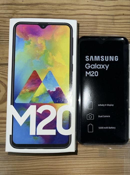 Гимнасттарда клитор бар