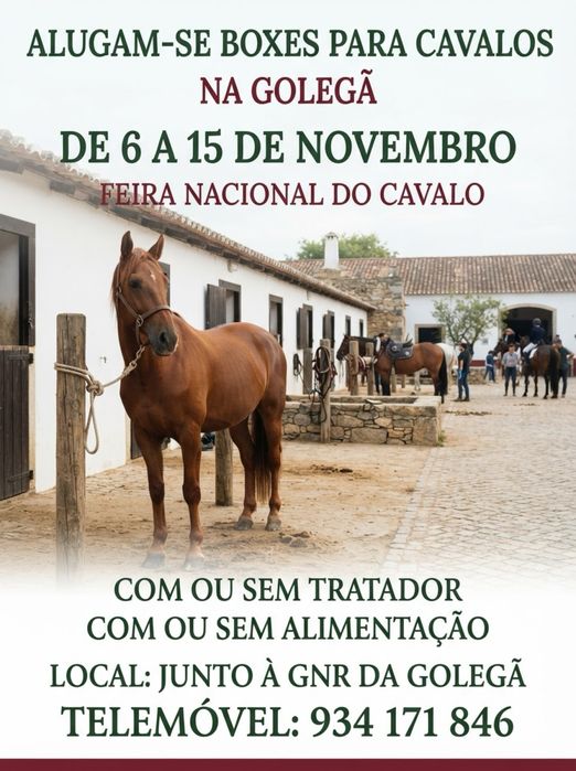 Alguer de boxs e parque para camioes e relotes Golegã