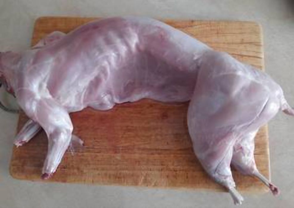 Tuszka mięso z królika