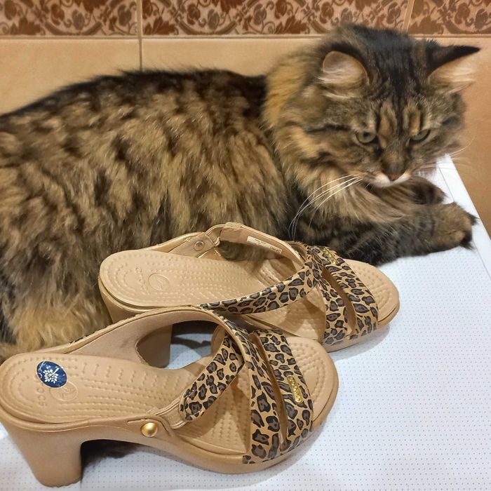 Сабо Crocs 5(36)р. Леопардовые тапочки шлепки