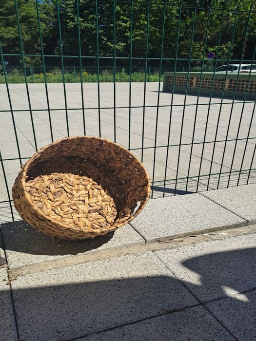 Cesto em verga grande.