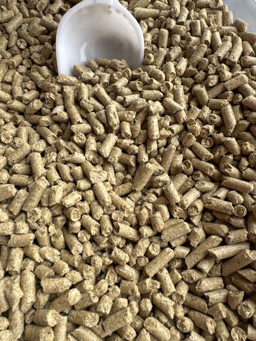 Neocaridinas - Azuis, Amarelos, Vermelhos, Rili