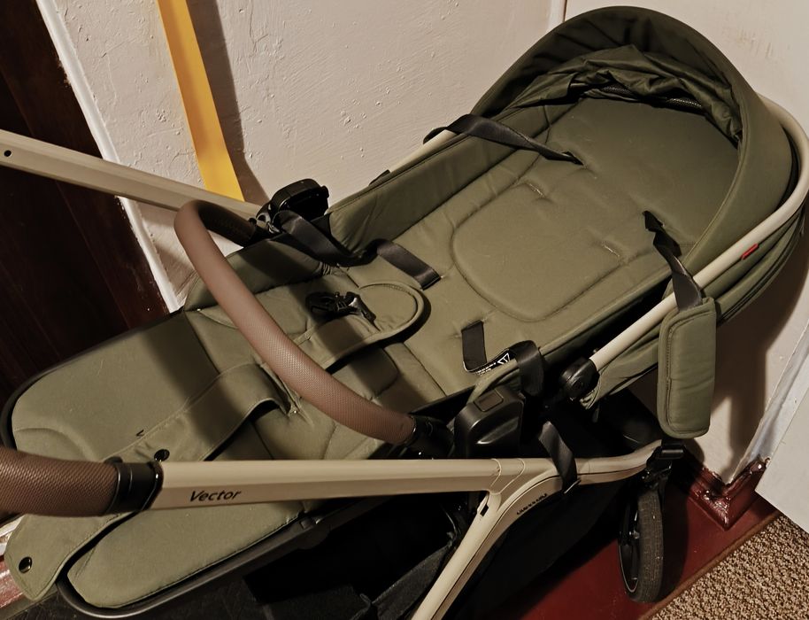 Дитяча коляска Carello Vector