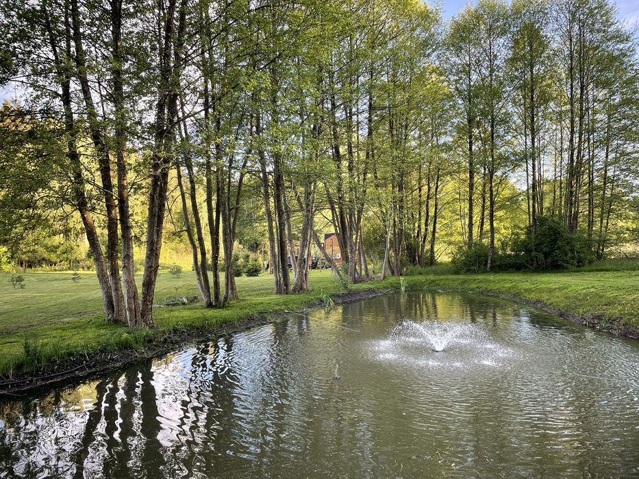 Tiny silent house domek wynajem wynajme las natura cisza jacuzzi bania