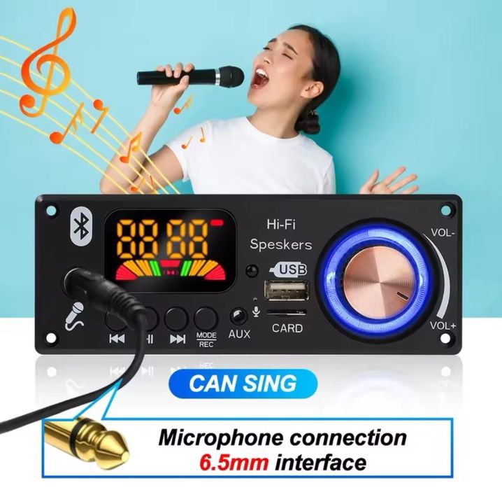 Мр3 декодер Bluetooth 5,1. Радио, флешка, микрофон 6,5 мм.Проигрывател