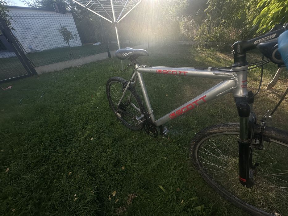 Rower Scoot MTB.