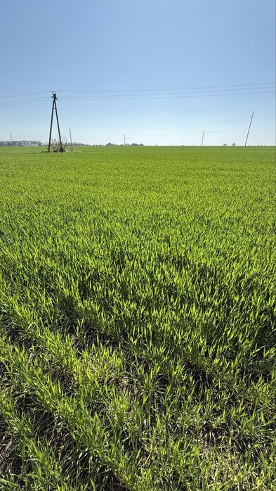 Продається Ексклюзивна Ділянка  3,6га м. Обухів траса Н-01