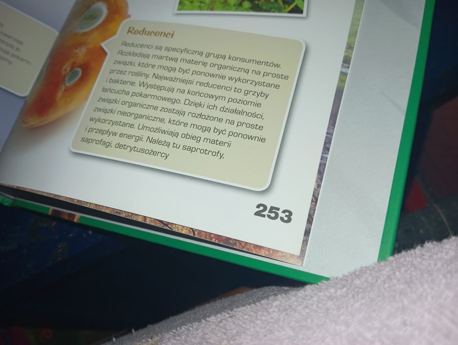 Gruba encyklopedia zwierząt