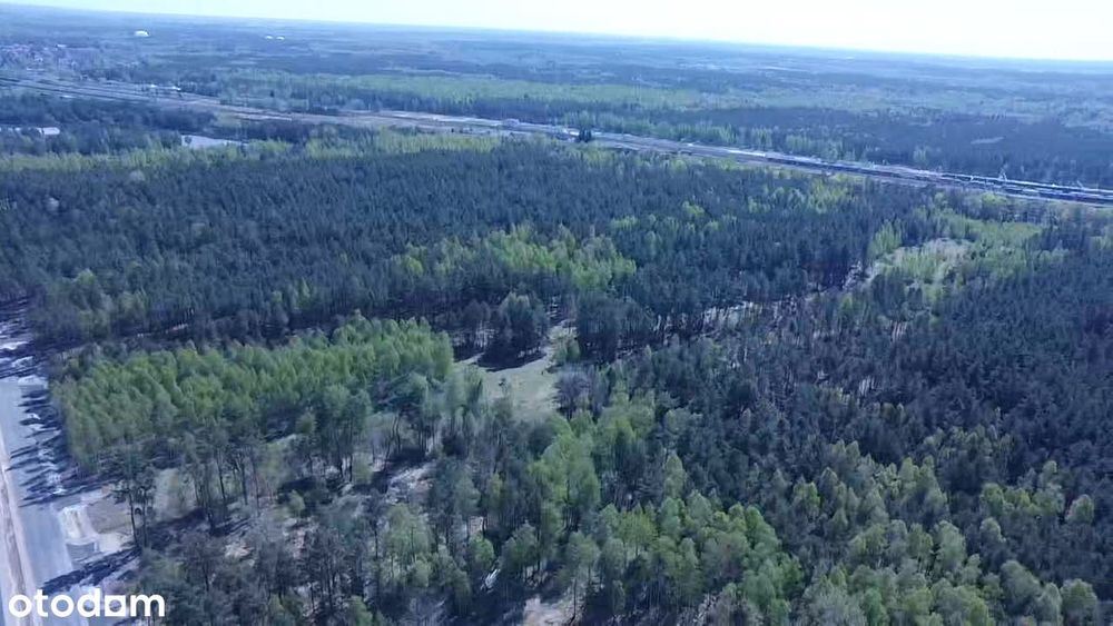 Działki w Małaszewiczach pod terminal - Więcej