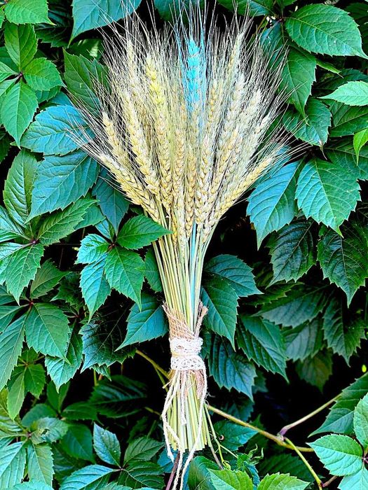 Букетик з пшениці