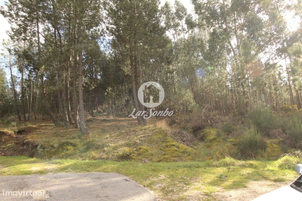 Terreno Nespereira Celorico de Basto — Ribas, Braga