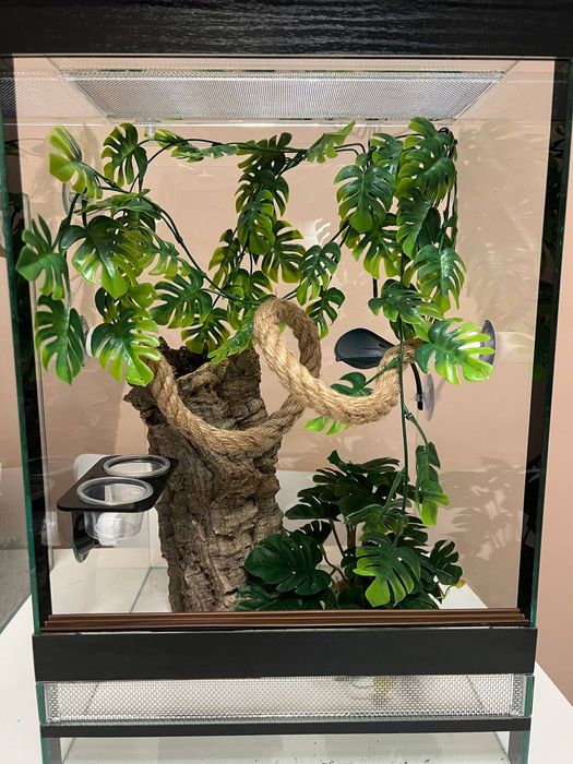 Террариум Новый.готовый "под ключ".