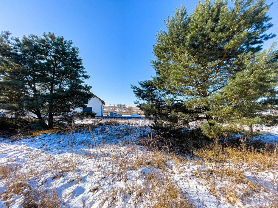Działka budowlana w Kotuniu na sprzedaż