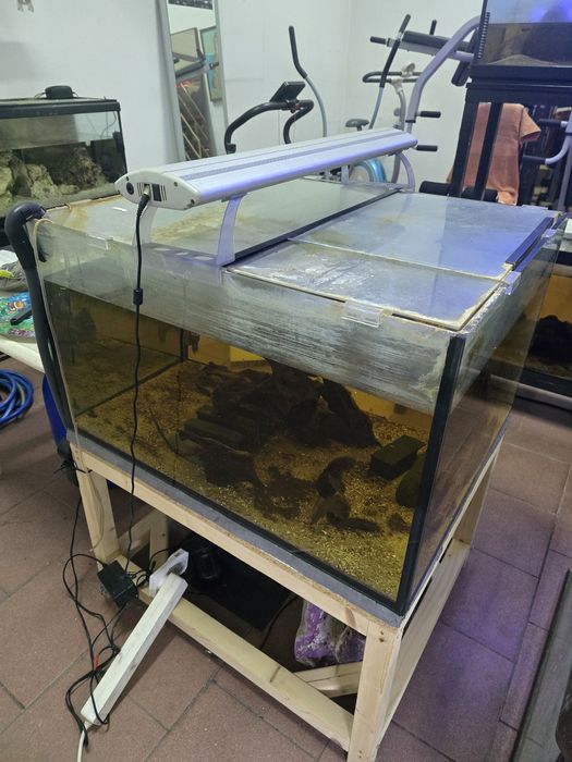 Aquário Cubo com Estrutura