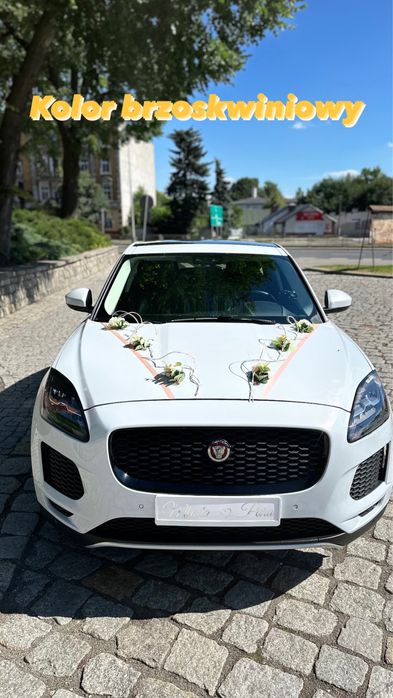 Auto Samochód do Ślubu JAGUAR E-PACE
