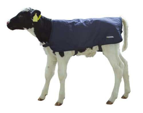 Derka dla cieląt EasyWear, 80 cm, granatowa, Kerbl