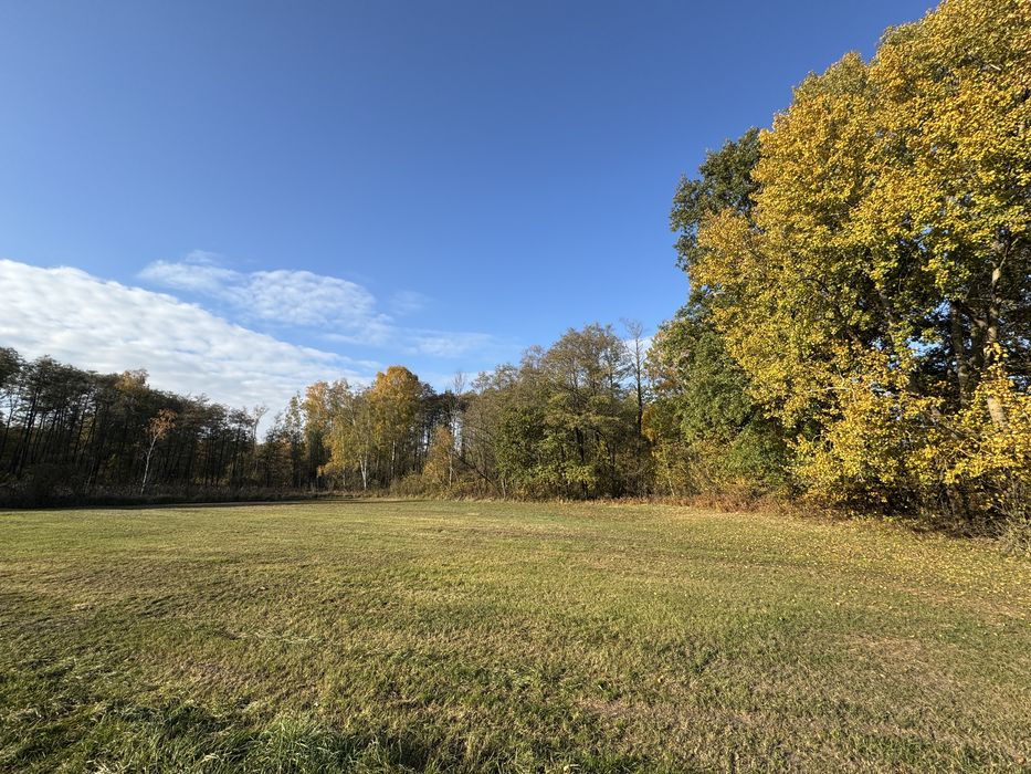 Budy Ciepielińskie 9 300 m² WZ na 5 domów, blisko Jezioro Zegrzyńskie