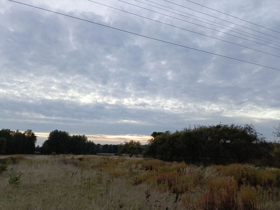 Dwie działki rolno-budowlana bezpośrednio od właściciela!