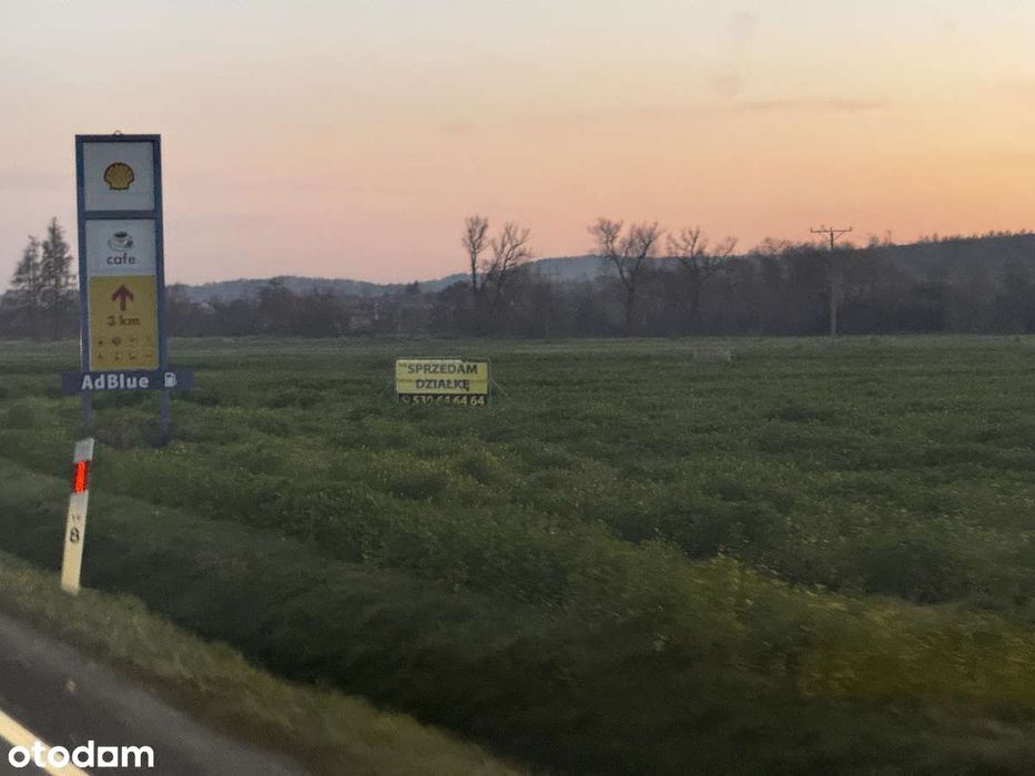 Działka 1ha Brzesko