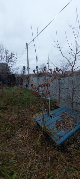 Продам два дома на участке в Солоницевке (п.Ольшаны)