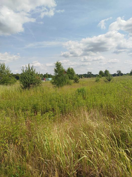 DZIALKI W STRADOMI wierzchniej o pow 1638 m2