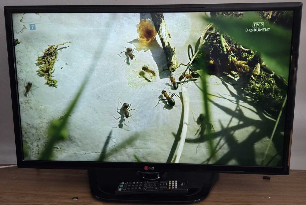 Telewizor LG 32 cale z pilotem.