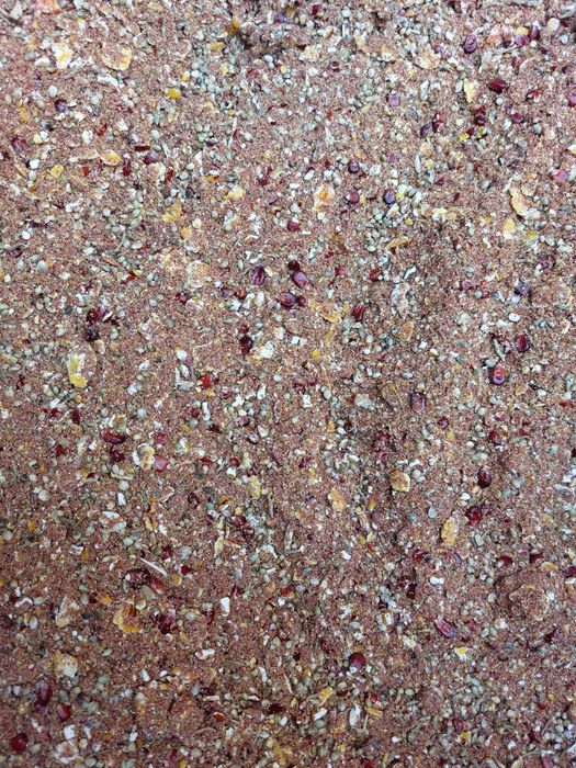 Zanęta Danimo tutti-frutti 8 kg kukurydziano-konopiana