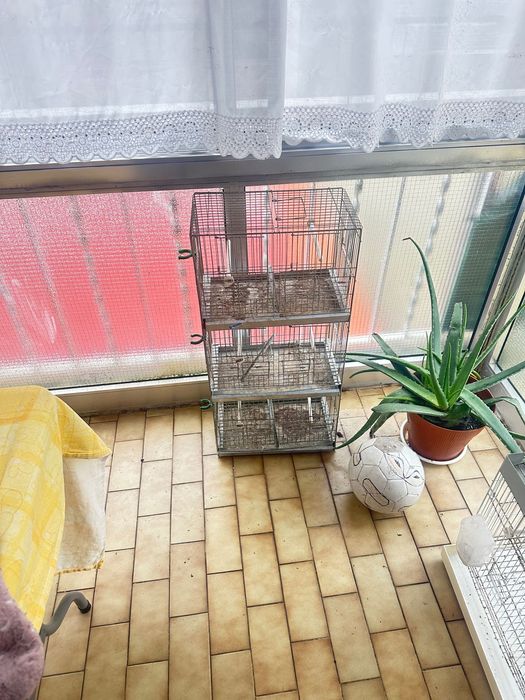 Gaiolas de 80 centímetros