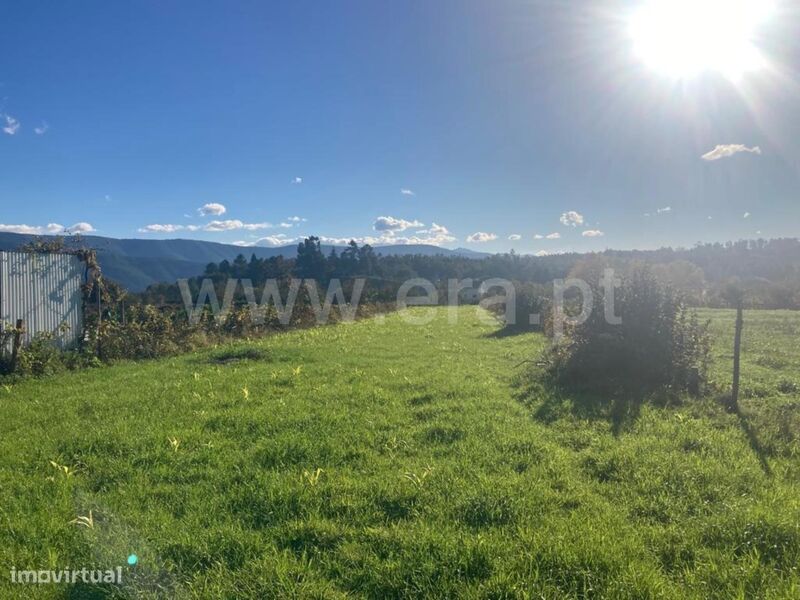 Terreno Rústico / Seia, Seia, São Romão e Lapa dos Dinheiros