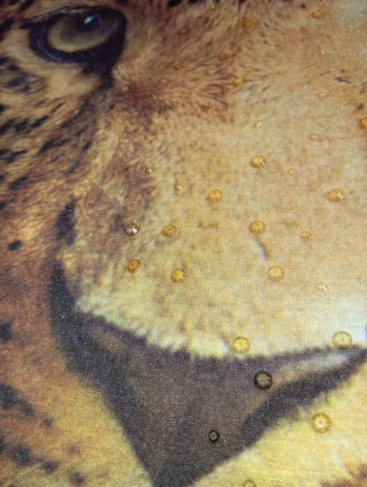 Bluzka z lampartem i koronką