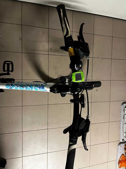 Rower Giant Liv Enchant 26'