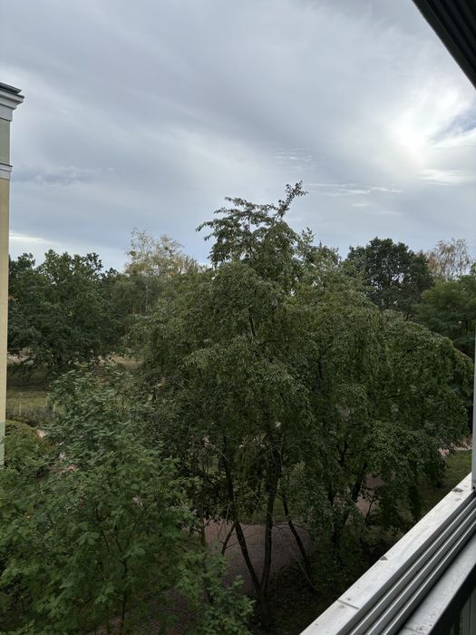 Zdjęcie 8