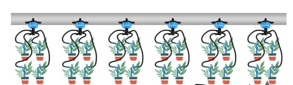 Крапельний полив