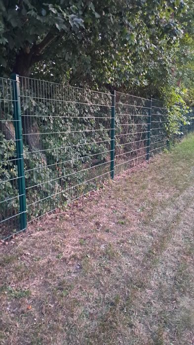 3D-сетка з монтажем – вигідна ціна Дніпро!

Заголовок: