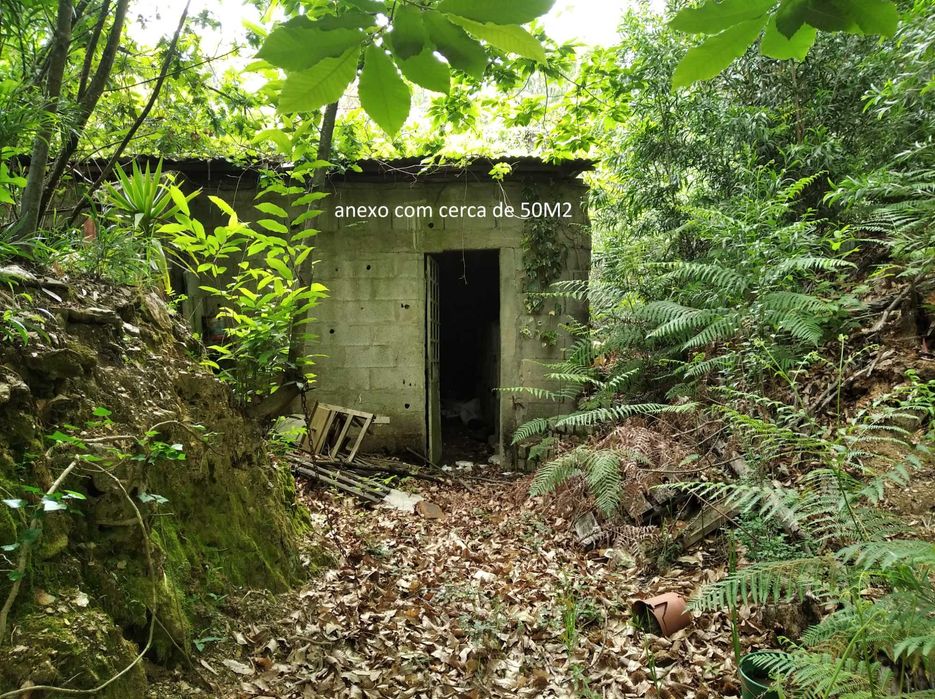 Terreno em Baguim do Monte com 6070M2 (rustico)